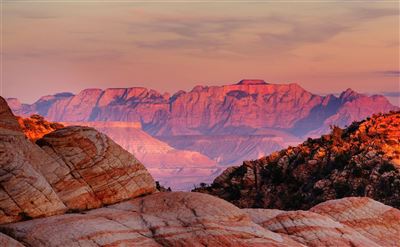 Felsenlandschaft im Zion Park